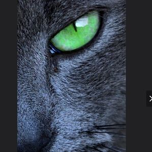 Meet your Posher, Sharina